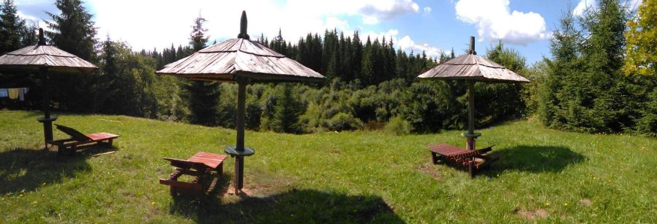Casa Paltin Vila Si Cabane Poiana Stampei Exteriör bild
