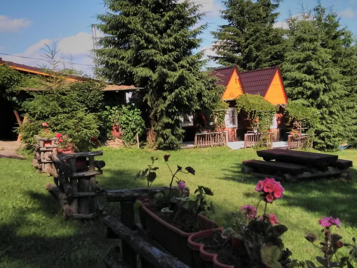 Casa Paltin Vila Si Cabane Poiana Stampei Exteriör bild