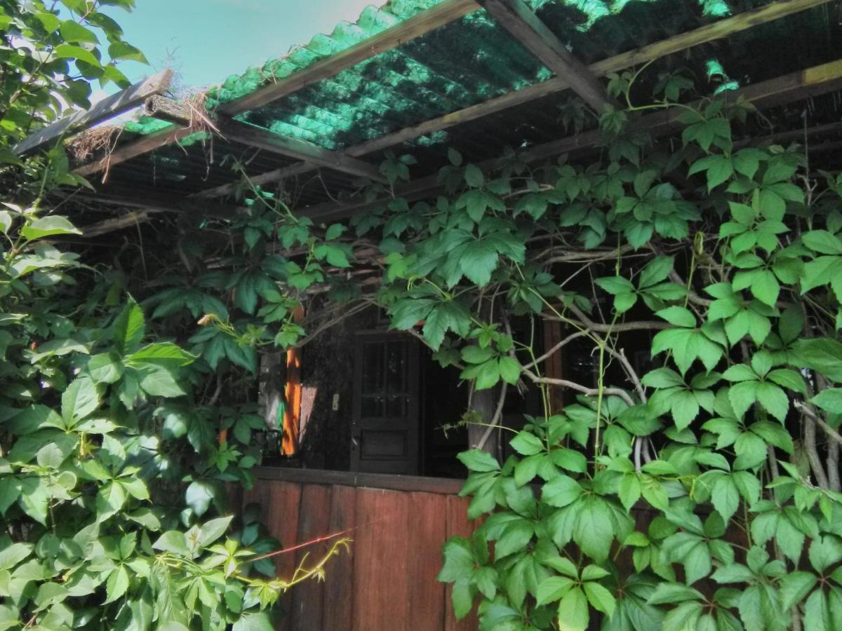 Casa Paltin Vila Si Cabane Poiana Stampei Exteriör bild