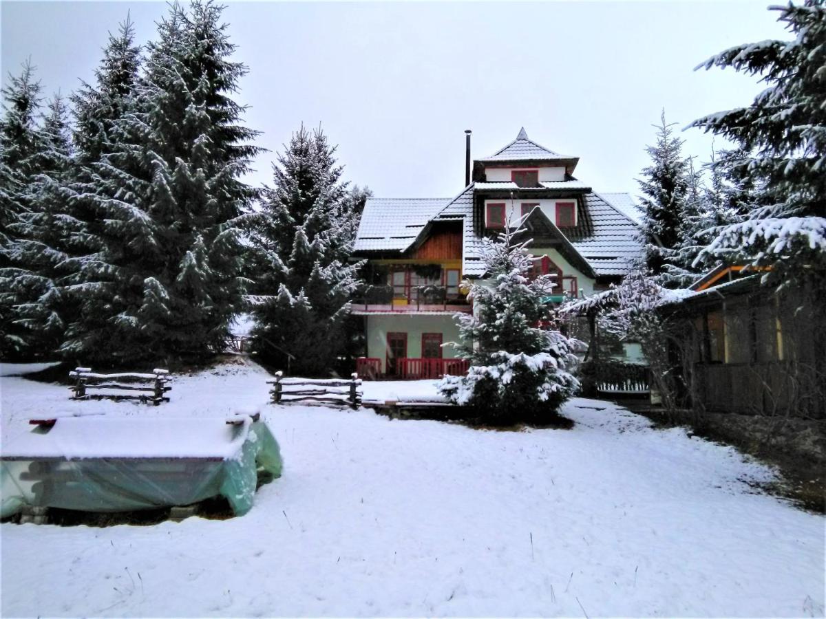 Casa Paltin Vila Si Cabane Poiana Stampei Exteriör bild