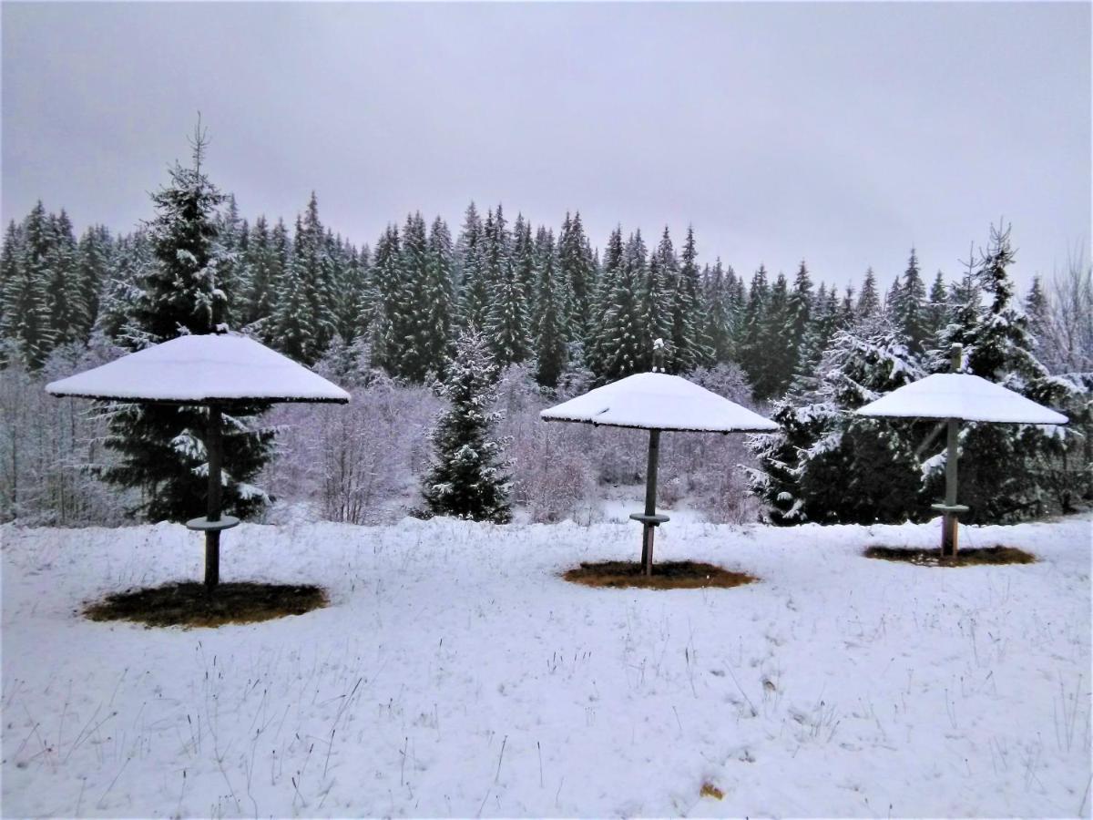 Casa Paltin Vila Si Cabane Poiana Stampei Exteriör bild