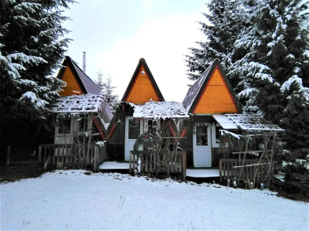 Casa Paltin Vila Si Cabane Poiana Stampei Exteriör bild