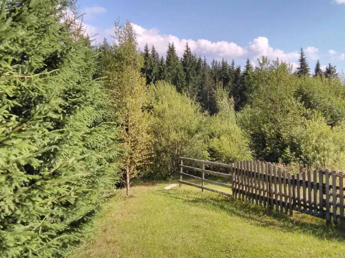 Casa Paltin Vila Si Cabane Poiana Stampei Exteriör bild